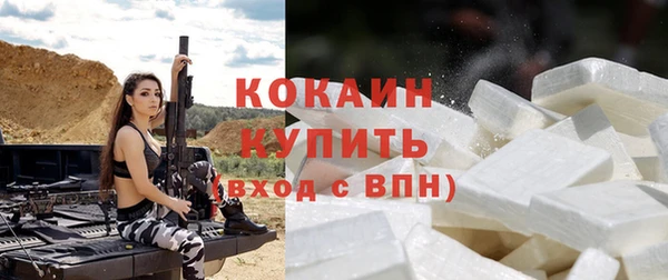 индика Аркадак