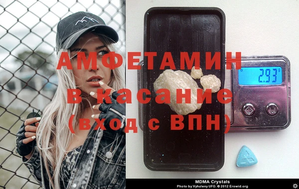 индика Аркадак