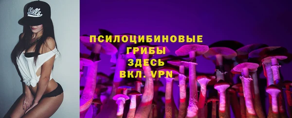 индика Аркадак