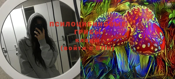индика Аркадак