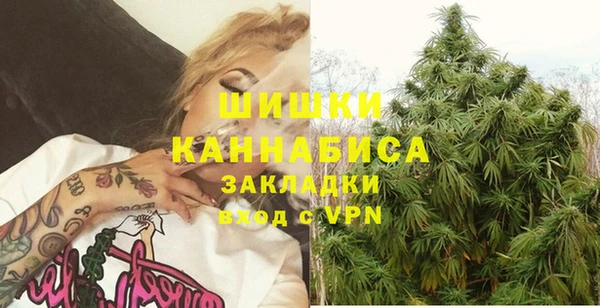 индика Аркадак