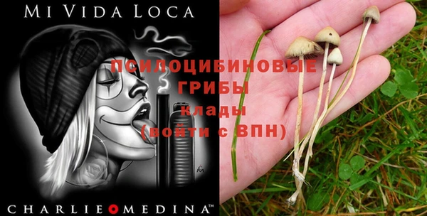 mdma Арсеньев