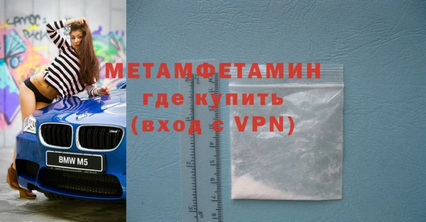индика Аркадак