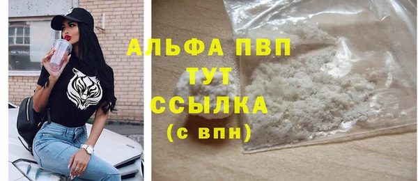 индика Аркадак
