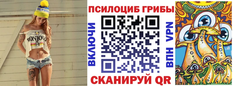 Купить где  Новоалександровск  Псилоцибиновые грибы Psilocybine cubensis 